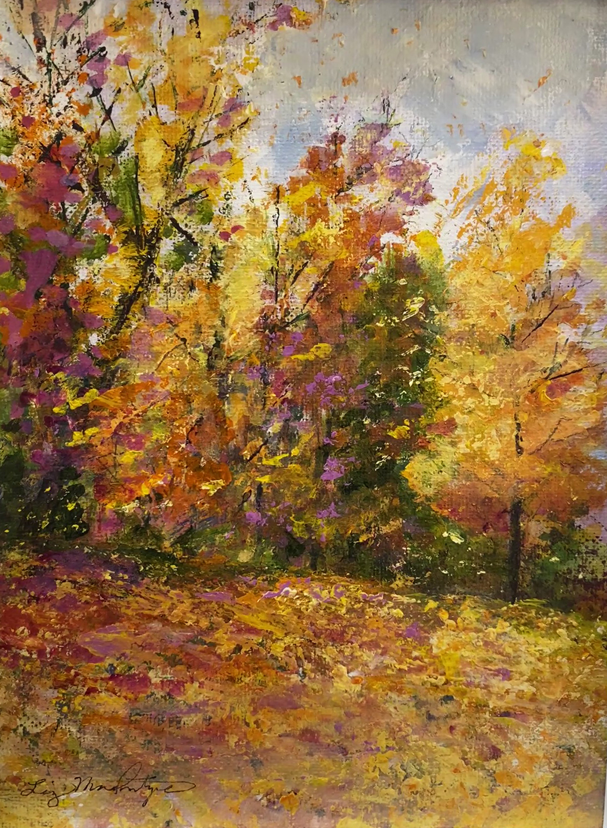 fall foliage