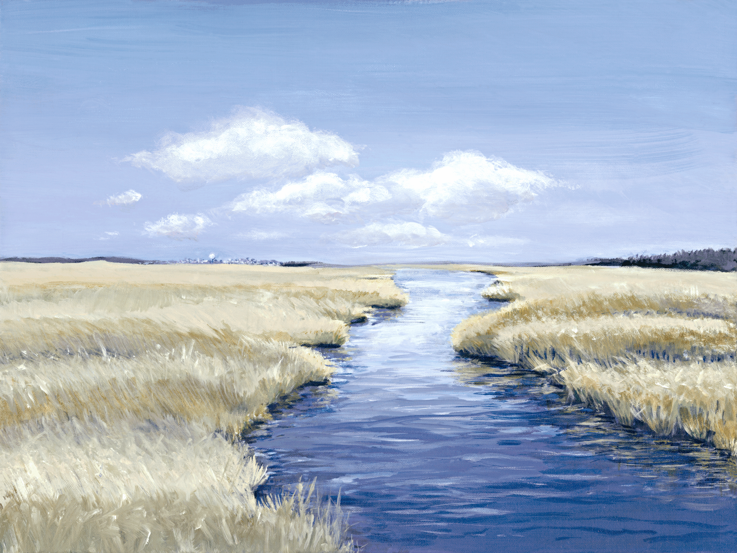 marsh by ocnj