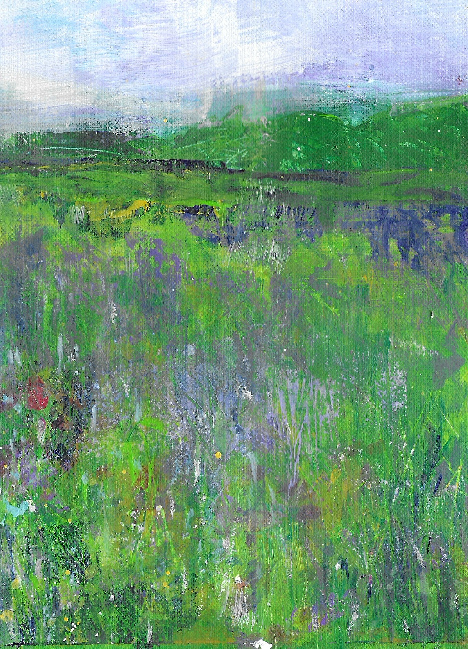 wildflower field with distant mountains